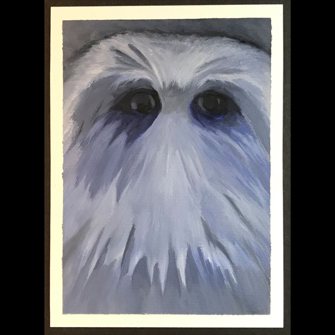 bird-2016