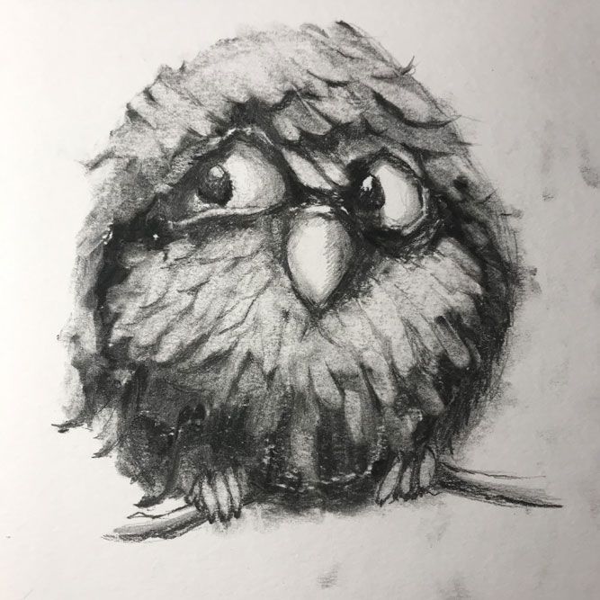 cute-little-fat-bird-2018